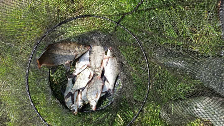 Zawodniczy weekend 30.05