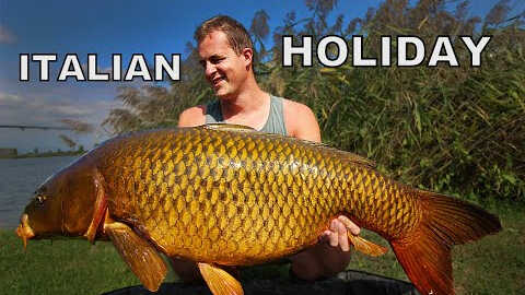 Velký šupináč z rozpálené Itálie