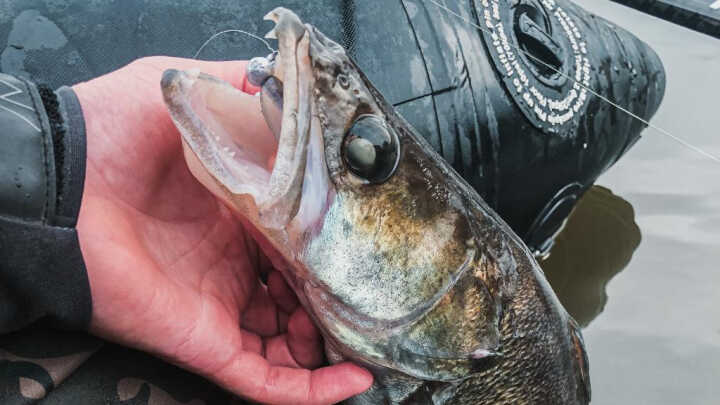 NA CANDÁTY Z BELLY BOATU