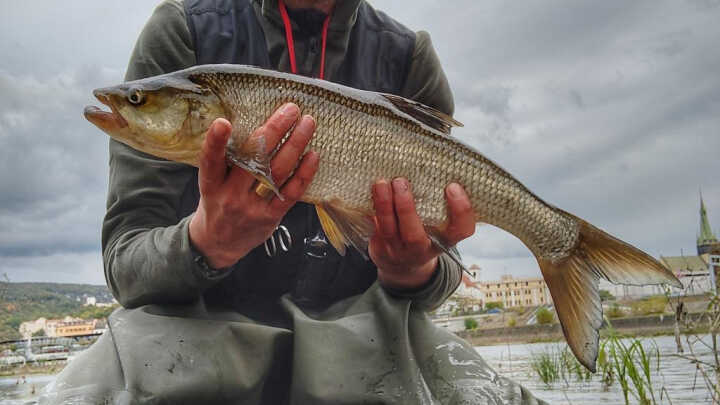 Deník jednoho rybáře