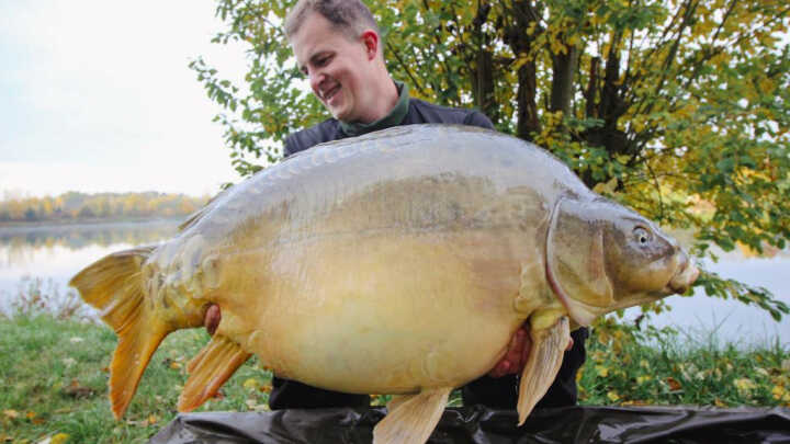 Obři v zemi nikoho, aneb lov kaprů z dalekého odhozu