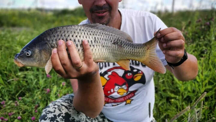 ДневникFEEDERиста