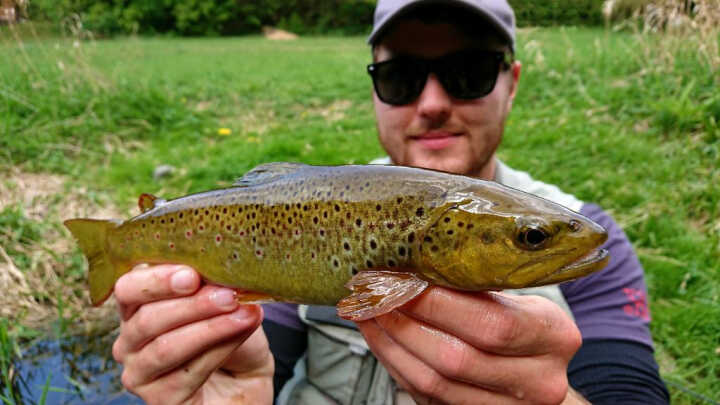 Jak na pstruhy? Velikost a tvar gumové nástrahy.