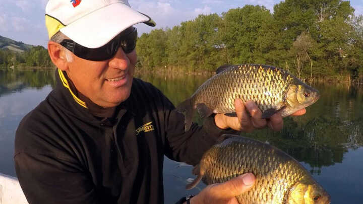 Scardole a Floating Feeder