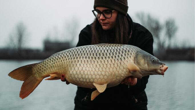 Januári pontyok🥶