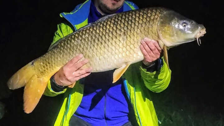 Rybostan łowiska Koła PZW nr 20 w Starym Sączu