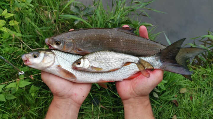 Rozuměli bychom si s rybáři z minulých staletí?