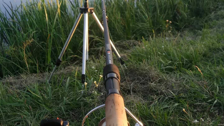 Городская рыбалка