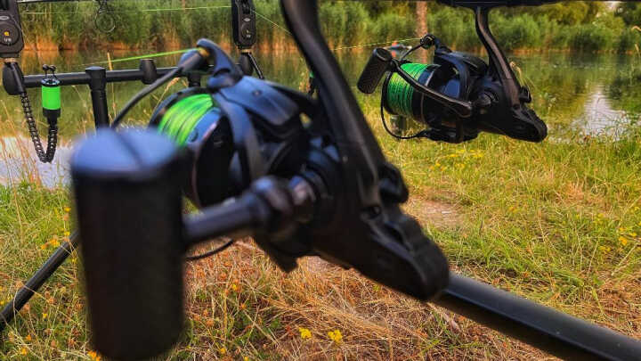 Амури през горещо лято.