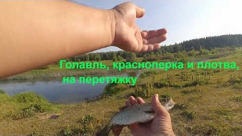 Рыбалка на перетяжку