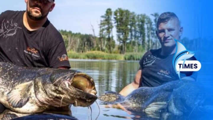 All you need to know about summer fishing