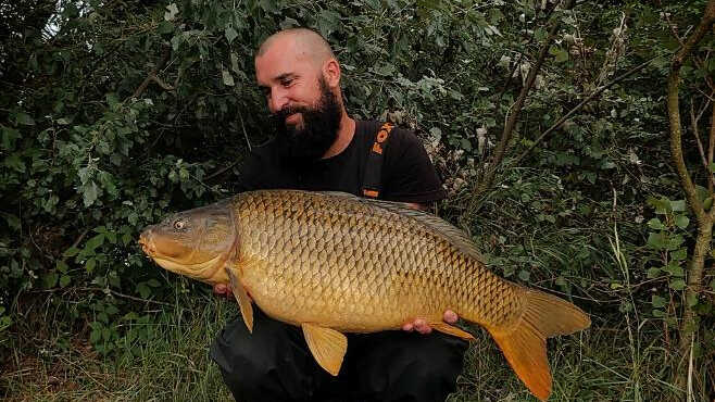 Lov kaprů v tropických teplotách