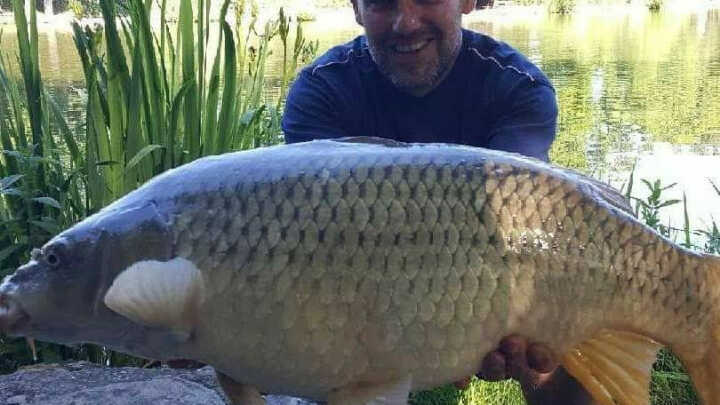 mes derniers poissons