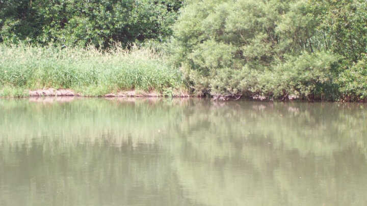 Mlaskačka je stále mezi námi