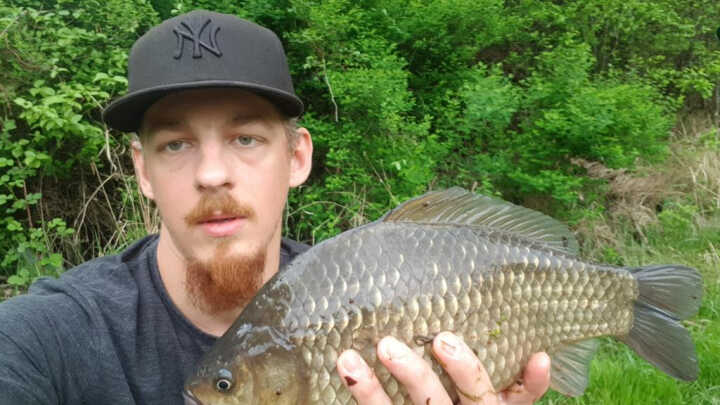 Wieczorny rekonesans