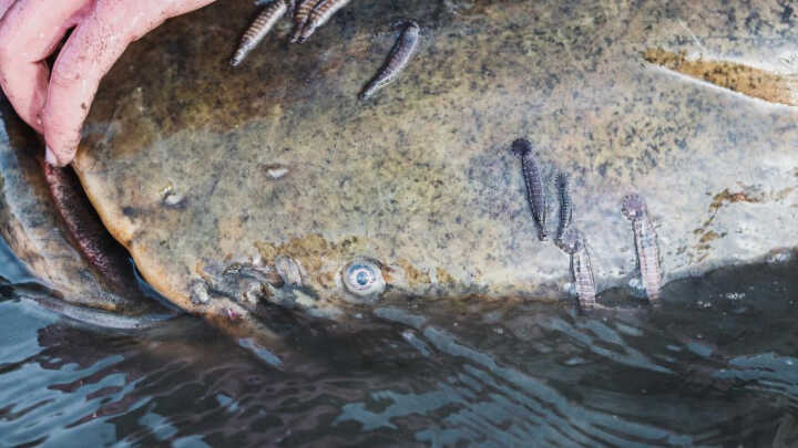 JARNÍ TIPY PRO LOV SUMCŮ