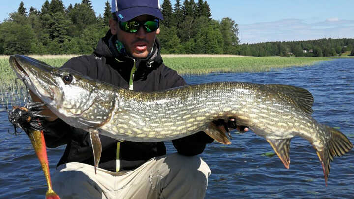 BIG ONES WANTS BIG LURES