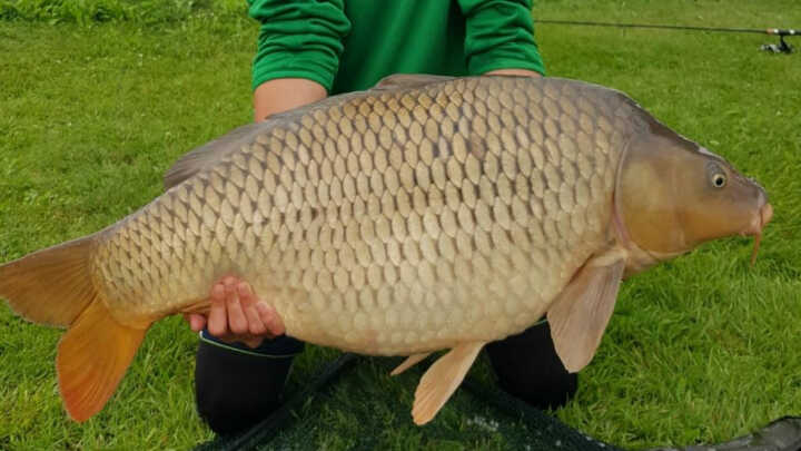 dubenec 2022🇨🇿