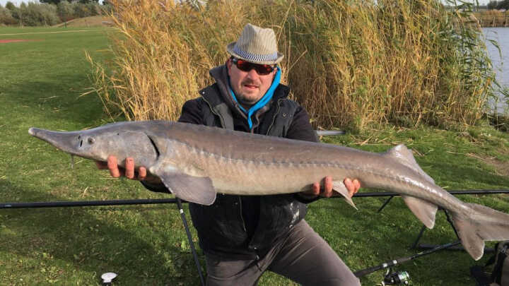 Peche à l Esturgeon au Feeder