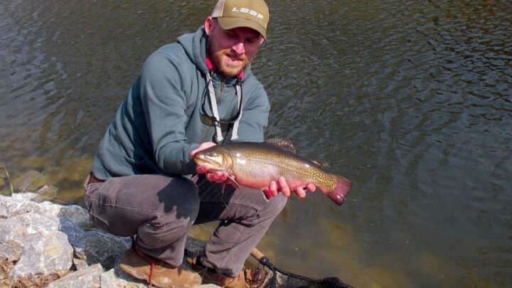 Muškařské vzpomínky V. "na stojaté vodě"