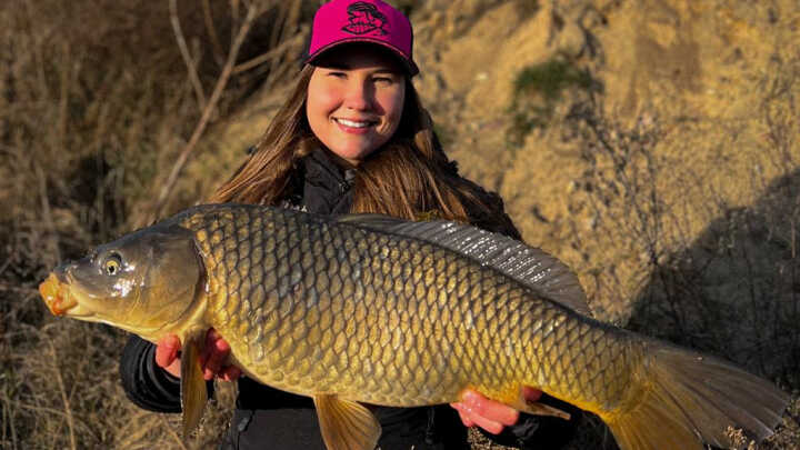 Karp (Cyprinus carpio L., 1758) – poznaj bliżej gatunek, cz. II.