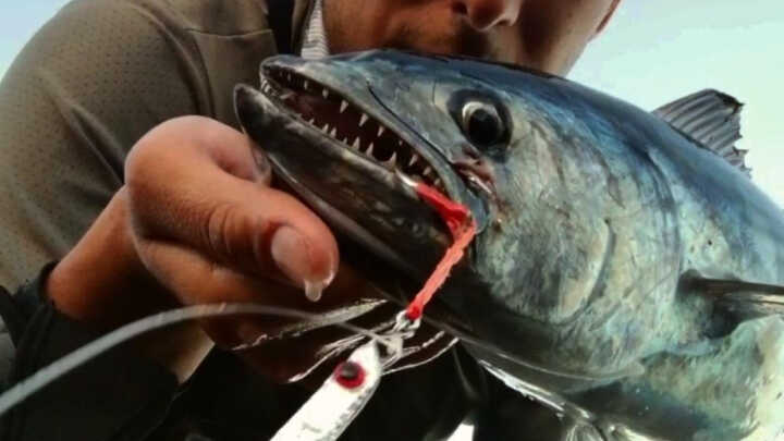 Tenerife sur Spinning medio/pesante