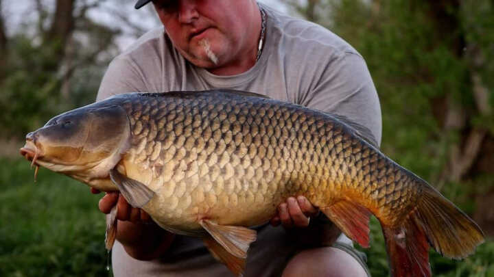 Kde je hranice mezi velkou a malou?