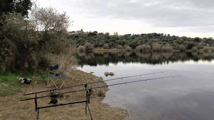Primera vez en el Vellón, bolo total