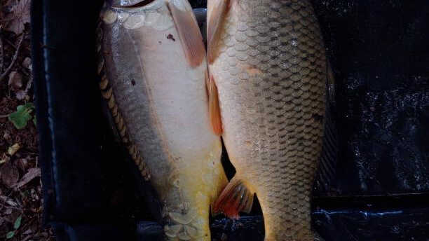 Dva rekordy z víkendu