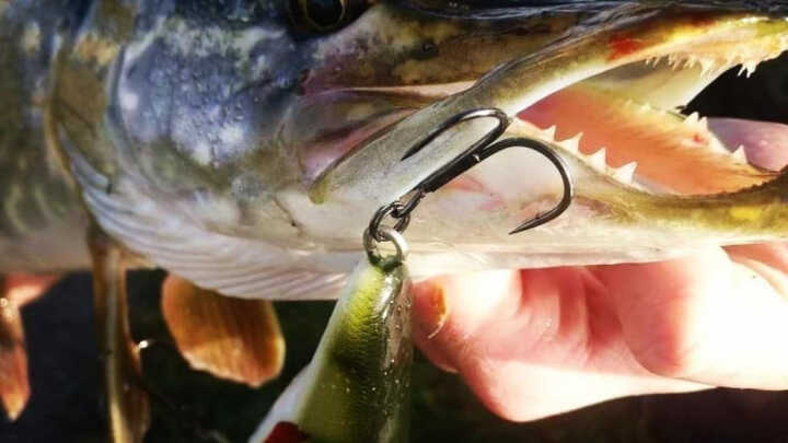 Fishing with lures: a complete guide for beginners