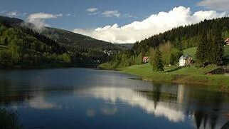 Muškařské vzpomínky VI. "prokletí kolem albínů?"
