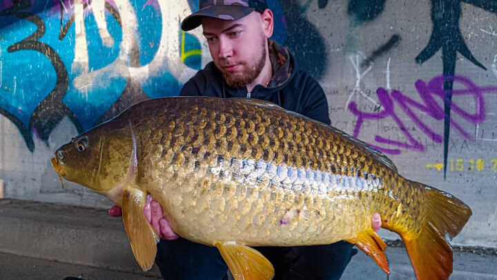 Urban fishing Slovakia 🇸🇰