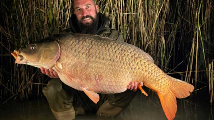 BALATON-Gigant mezi evropskými jezery