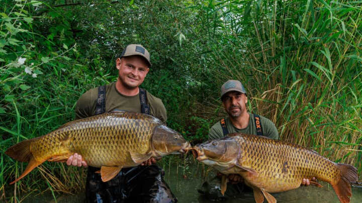 Raw Carp Cup 2024 - Dolný Bar