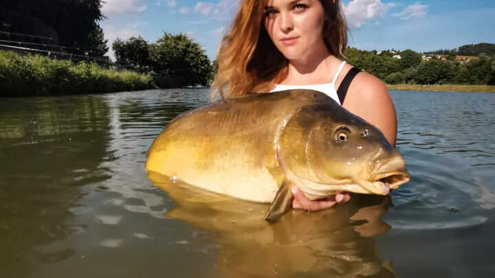 Za Sportovními Revíry 02 - Jestřabice