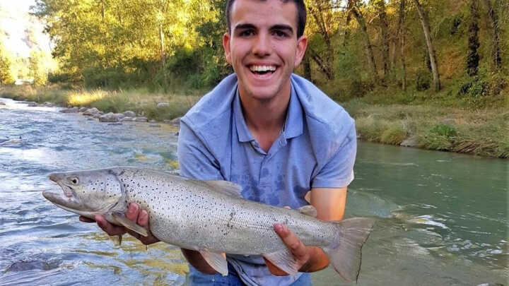 SANGRE SUDOR Y LÁGRIMAS – 04/08/202