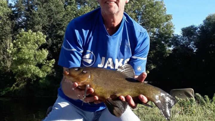 gericht op zeelt vissen