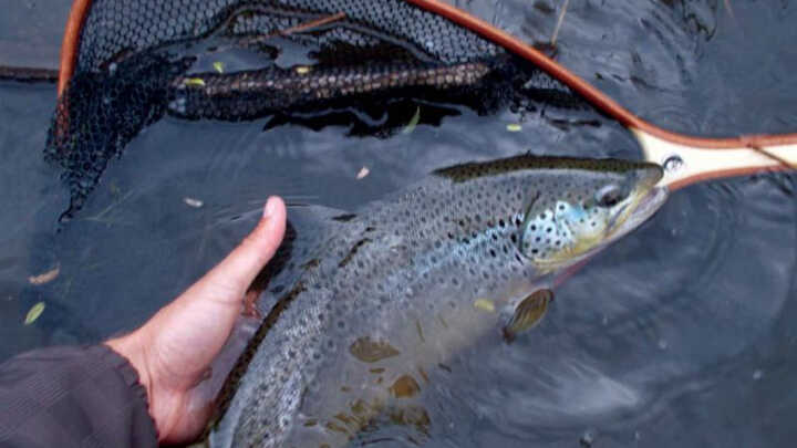 Muškařské vzpomínky I. Ohře B