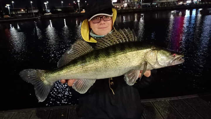 Szczecińskie sandacze i nie tylko