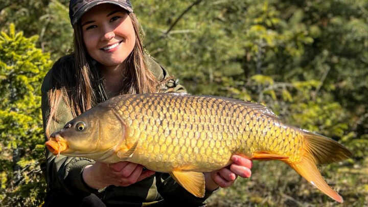 Porady na wiosenne karpie.