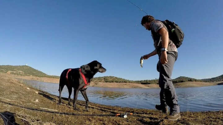 POR UNA TEMPORADA DE ENSUEÑO