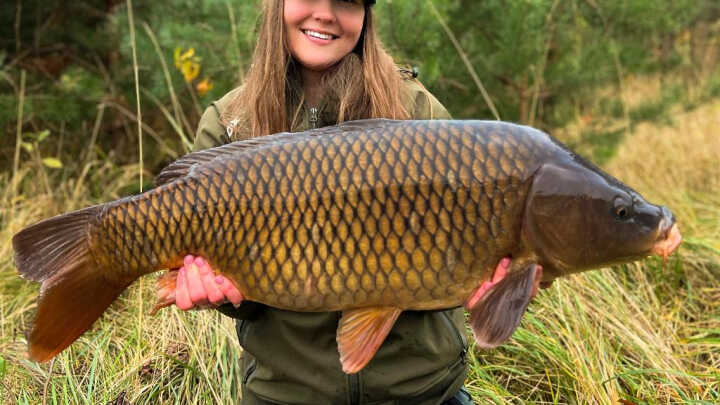 Sfermentowana krewetka rządzi