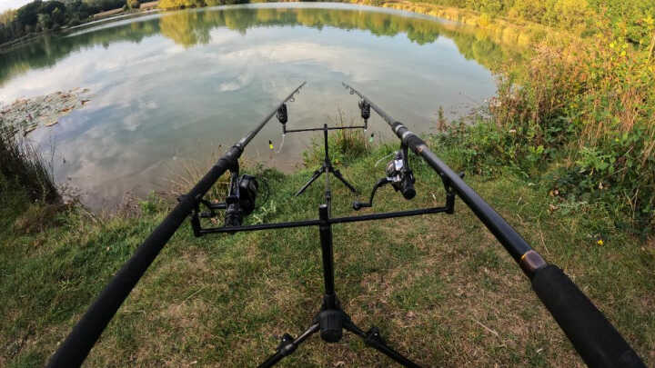 Zanecone to i polowione