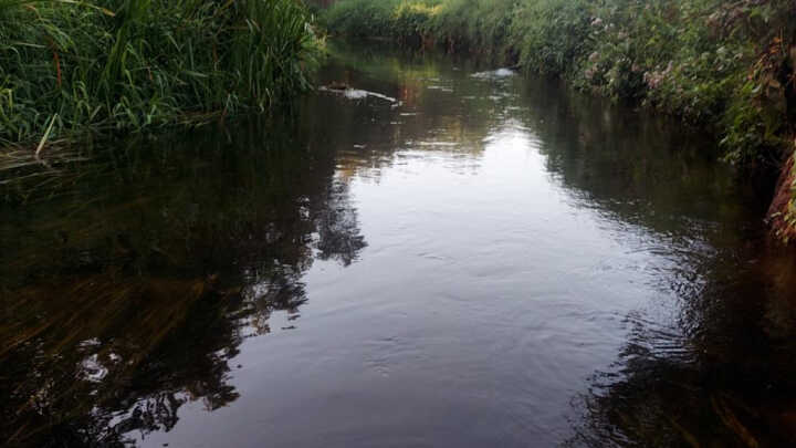 pierwsze wrażenia z nowej rzeki