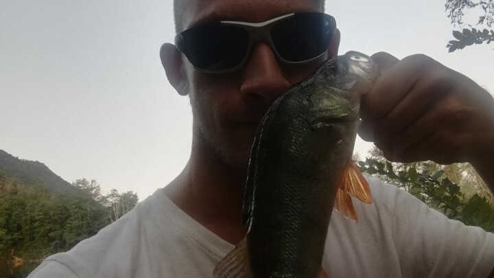 Persici reali a sorpresa