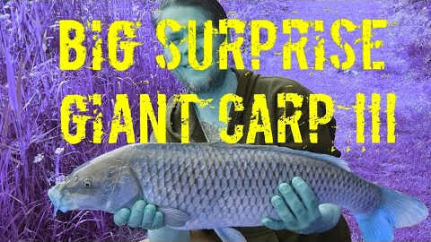 Simple fishing karper