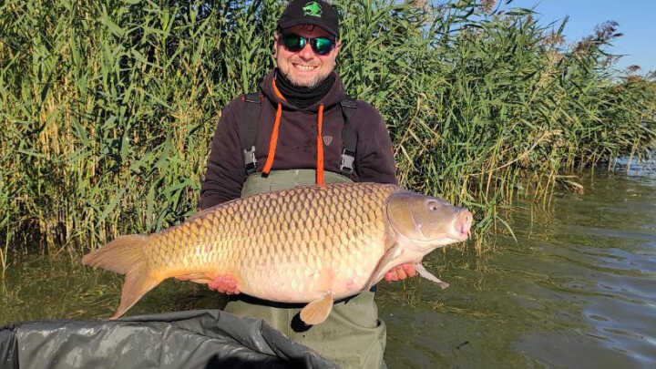 NA VLNÁCH PODZIMU ZA MAĎARSKÝMI KAPRY