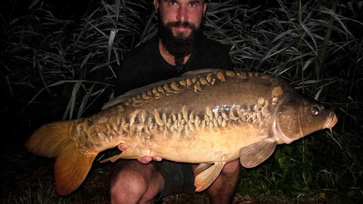 výprava snů na řece...