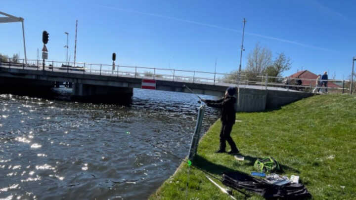 Meine ersten Fänge!
