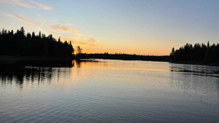 Švédská výprava 2025